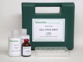 biocolor细胞周期检测试剂盒(Cell-Clock Assay)