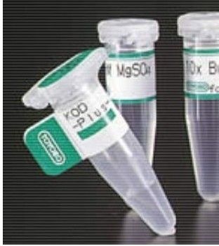 催乳素诱导蛋白(PIP)重组蛋白