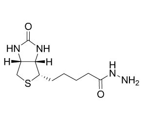 D-生物素酰肼 66640-86-6 D-Biotin hydrazide 