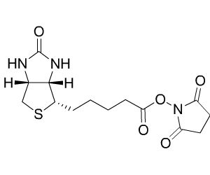 (+)生物素-N-琥珀酰亚胺基酯 35013-72-0 Biotin-NHS 厂家现货