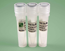 含动力蛋白重链域蛋白1(DNHD1)重组蛋白