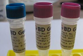 单核细胞趋化蛋白3(MCP3)重组蛋白