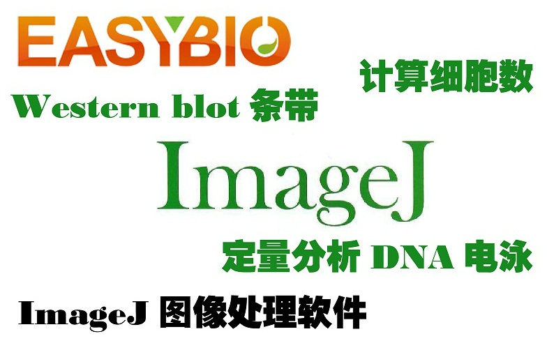 ImageJ生物医学影像分析软件