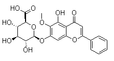 千层纸素A-7-0-β-D-葡萄糖醛酸苷