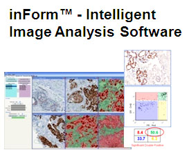 Inform组织切片显微分析系统