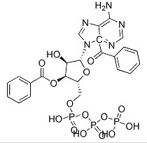 3'-O-(4-苯甲酰基)苯甲酰基腺苷 5'-三磷酸酯（Bz-ATP）