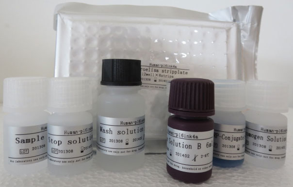 人糖连抗原724(CA724)ELISA检测试剂盒