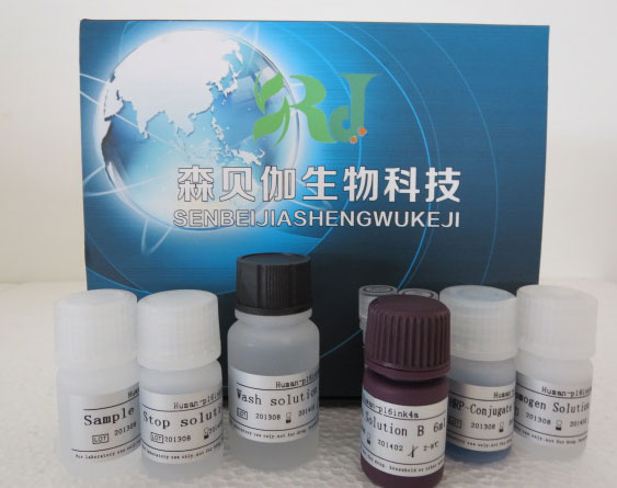 人NK细胞ELISA检测试剂盒