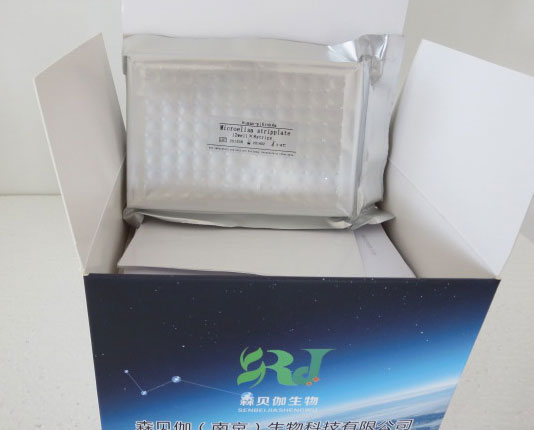 人白细胞介素27(IL-27)ELISA检测试剂盒