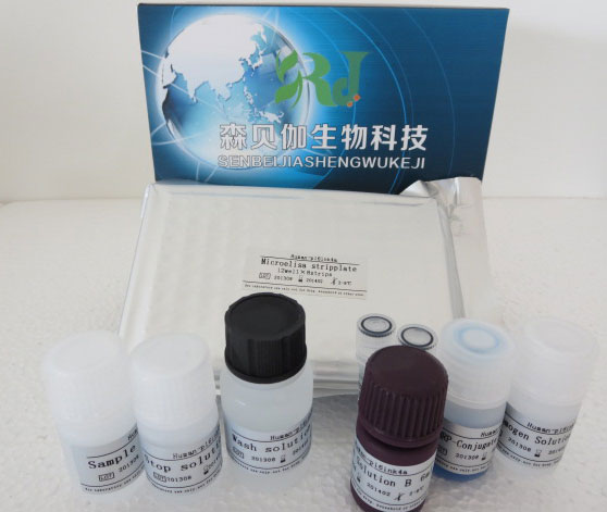 人白细胞介素-4(IL-4)ELISA检测试剂盒