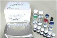 兔血纤蛋白原(Fbg)elisa检测试剂盒