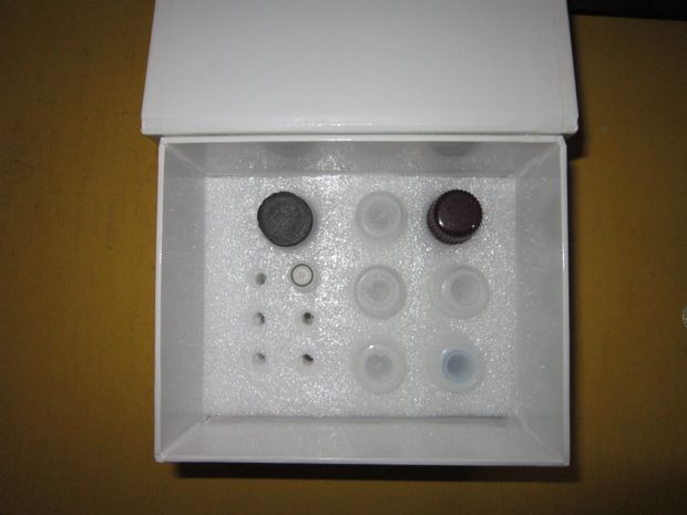 猪主要组织相容性复合体Ⅱ类(MHCⅡ/SLAⅡ)elisa检测试剂盒