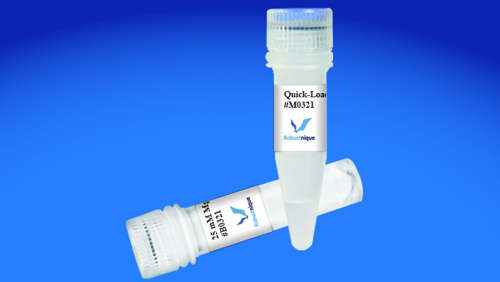 Quick-Load Taq 2× Master Mix 