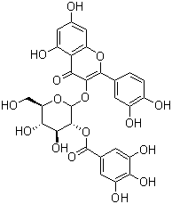 2”-O-没食子酰基金丝桃苷