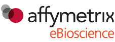 BrdU Staining Buffer Set for Flow Cytometry Kit