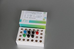 人CYP2C9和VKORC1基因多态性检测试剂盒（荧光PCR法）