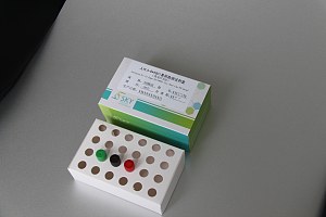 人HLA-B*5801基因检测试剂盒 （荧光PCR法）