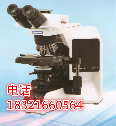 奥林巴斯显微镜CX41三目