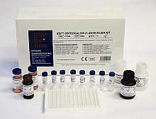 供应人稳定型骨钙素ELISA试剂盒 Human Osteocalcin ELISA Kit