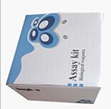 去甲肾上腺素检测试剂盒