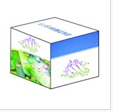 白介素1可溶性受体Ⅰ检测试剂盒