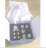 白介素5检测试剂盒