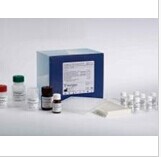 白介素10检测试剂盒