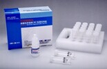 热休克蛋白糖蛋白96检测试剂盒