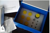 可溶性P选择素检测试剂盒