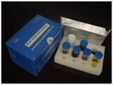 叉头框蛋白04检测试剂盒