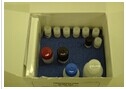 甲状腺球蛋白放免试剂盒