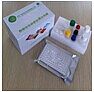 胃蛋白酶原C检测试剂盒