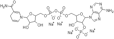 还原辅酶Ⅱ四钠盐（NADPH） 2646-71-1