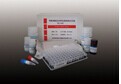 糖化血红蛋白检测试剂盒