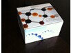 4-羟基壬烯酸 HNE检测试剂盒