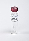 Visistar VCAM-1靶向超声微泡