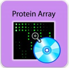 Analysis Tool for Human Protein Array G2