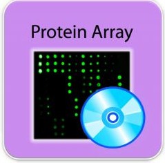 Analysis Tool for Human Allergen Protein Array G1