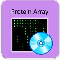 Analysis Tool for Human Allergen Protein Array G1