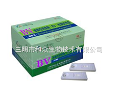 细菌性阴道病（BV）快速检测试剂盒