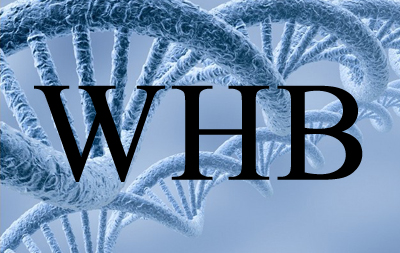 【WHB】（白色、蓝色）三层带过滤纸口罩、活性炭口罩（四层）