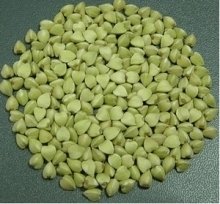 苦荞提取物厂家生产