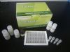 兔子白介素1可溶性受体I (IL-1sR Ⅰ)ELISA试剂盒