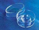  美国Corning康宁|细胞培养皿|动植物组织培养皿、代理商、价格、规格型号、