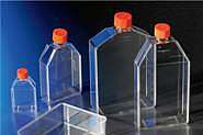 美国Corning康宁 动植物细胞培养瓶|组织培养瓶代理商|报价