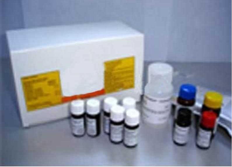 大鼠环磷酸腺苷(cAMP)ELISA Kit试剂盒 价格
