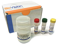 ChIP试剂盒—染色质免疫共沉淀研究完整方案