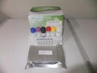 现货供应人单纯疱疹病毒（HSV）ELISA Kit 检测试剂盒 价格