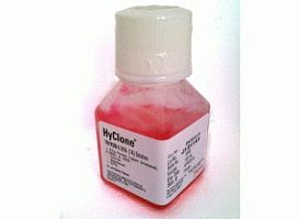 L-Malic acid L-苹果酸
