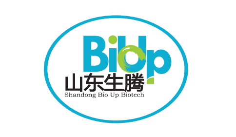 BioupGel凝胶配制试剂盒